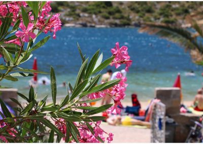 26805054_757000604499884_4380180156972918494_n