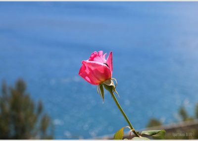 poljica-pogled-10-5472x3648-57