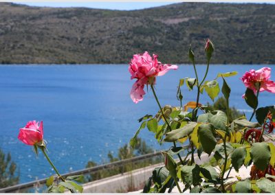 poljica-pogled-9-5304x3270-69